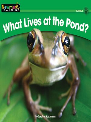 cover image of What Lives at the Pond?